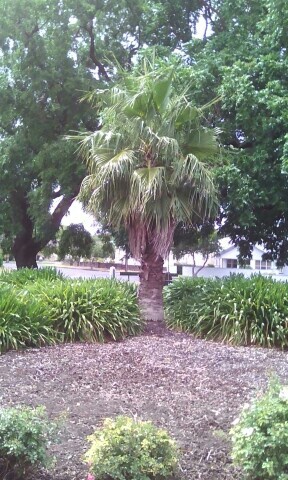 National Servicemans Memorial Park | 31 Ehret St, Mount Gambier SA 5290, Australia