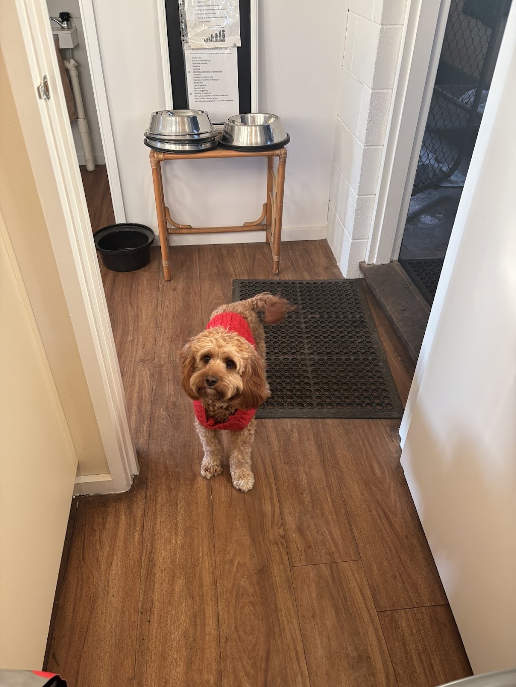 Ocean Grove Doghouse | 420 Shell Rd, Point Lonsdale VIC 3225, Australia | Phone: 0472 711 122