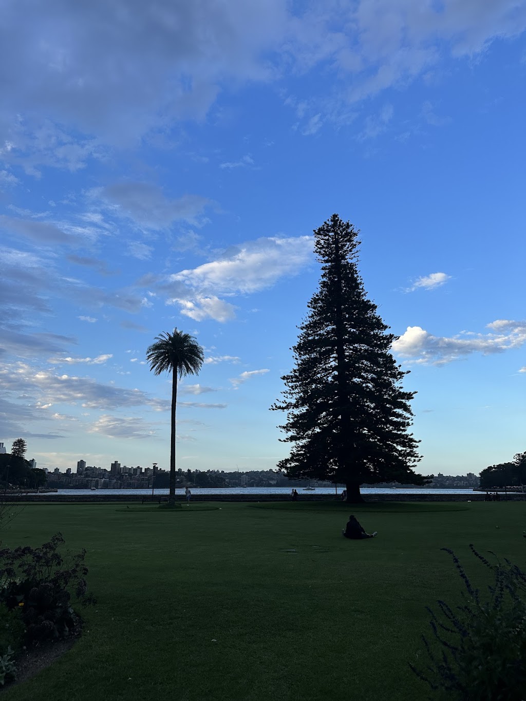 YuraBirong | Mrs Macquaries Rd, Sydney NSW 2000, Australia | Phone: (02) 9231 8111
