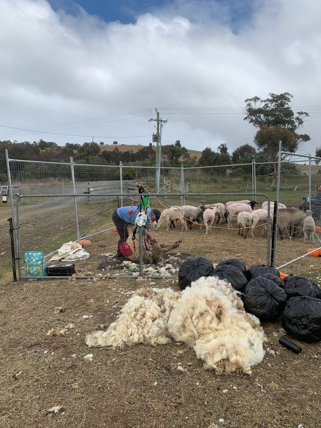 Eventide Sanctuary | 473 Sugarloaf Rd, Carlton River TAS 7173, Australia | Phone: 0456 748 170 Eventide Sanctuary | 473 Sugarloaf Rd, Carlton River TAS 7173, Australia | Phone: 0456 748 170