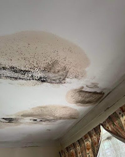Restore Master - Flood, Mould, Fire restoration Taree | 28 Fisher St, Taree NSW 2430, Australia | Phone: 1300 668 185
