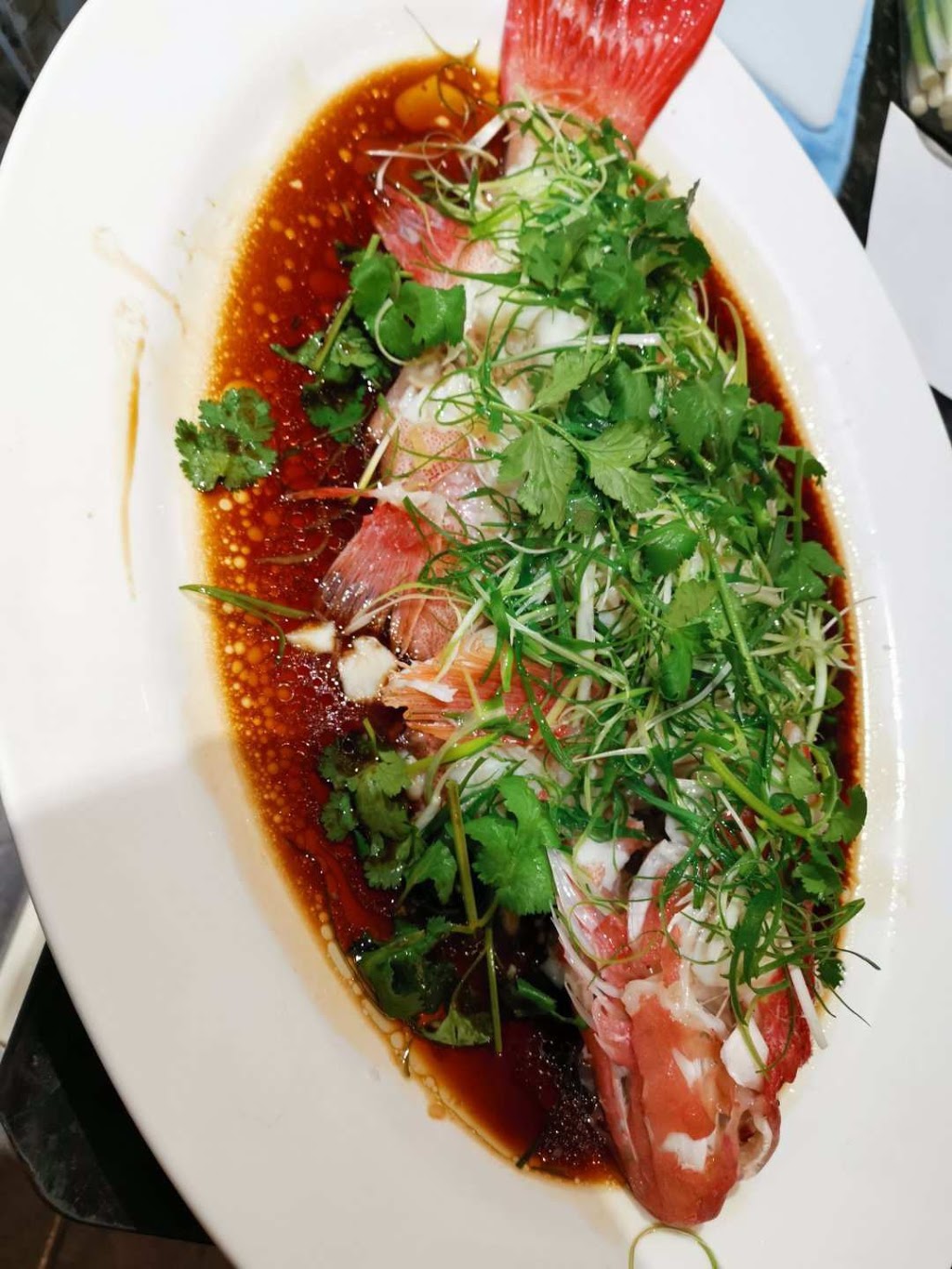 Causeway Bay Seafood Restaurant | restaurant | 70 Pinelands Rd, Sunnybank Hills QLD 4109, Australia | 0731508415 OR +61 7 3150 8415
