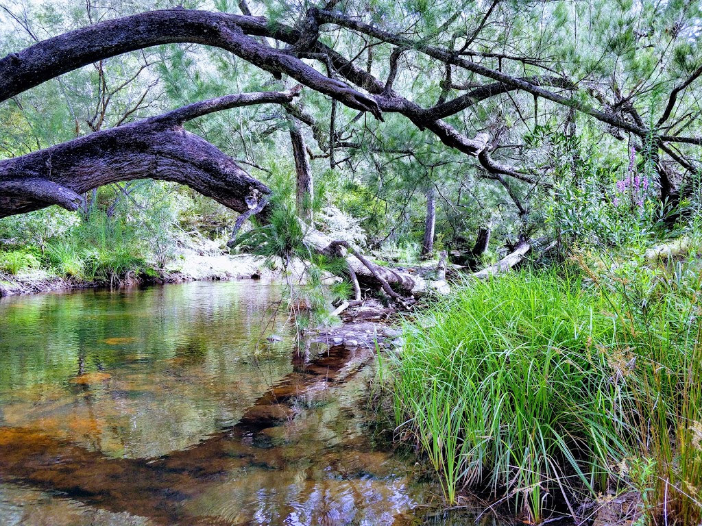 Brindabella National Park | Mountain Creek Rd, Uriarra NSW 2611, Australia | Phone: 1300 072 757