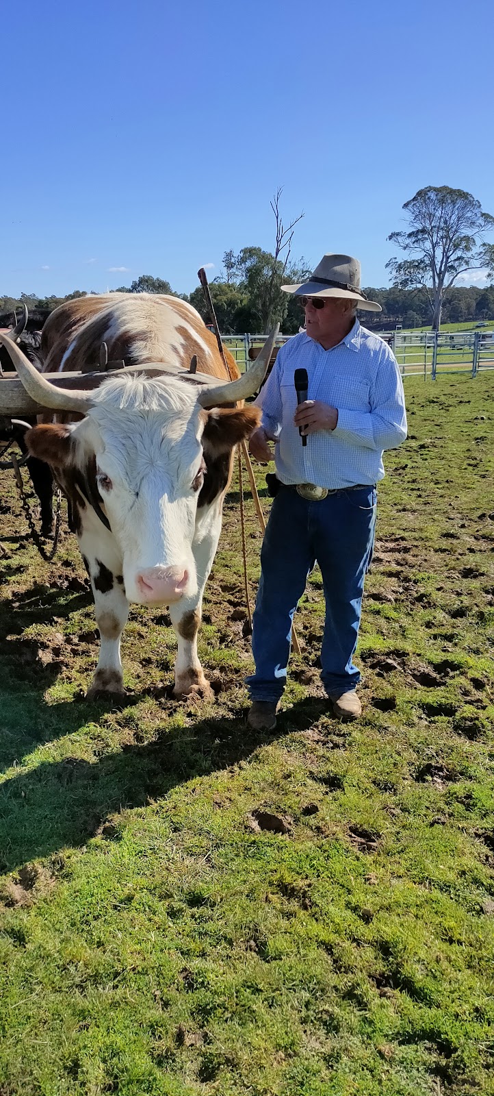 Domain Tennis Centre | Queens Domain TAS 7000, Australia | Phone: 0436 690 399