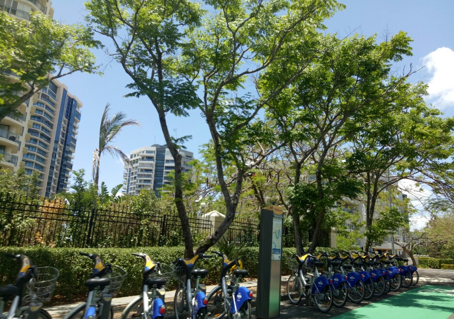 CityCycle Station No. 91 | Main St, Darragh St, Kangaroo Point QLD 4169, Australia | Phone: 1300 229 253