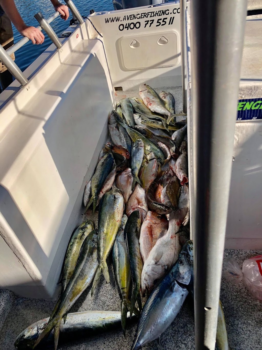 Avenger Gold Coast Fishing Charters | Muriel Henchman Dr, Main Beach QLD 4217, Australia | Phone: 0400 775 511