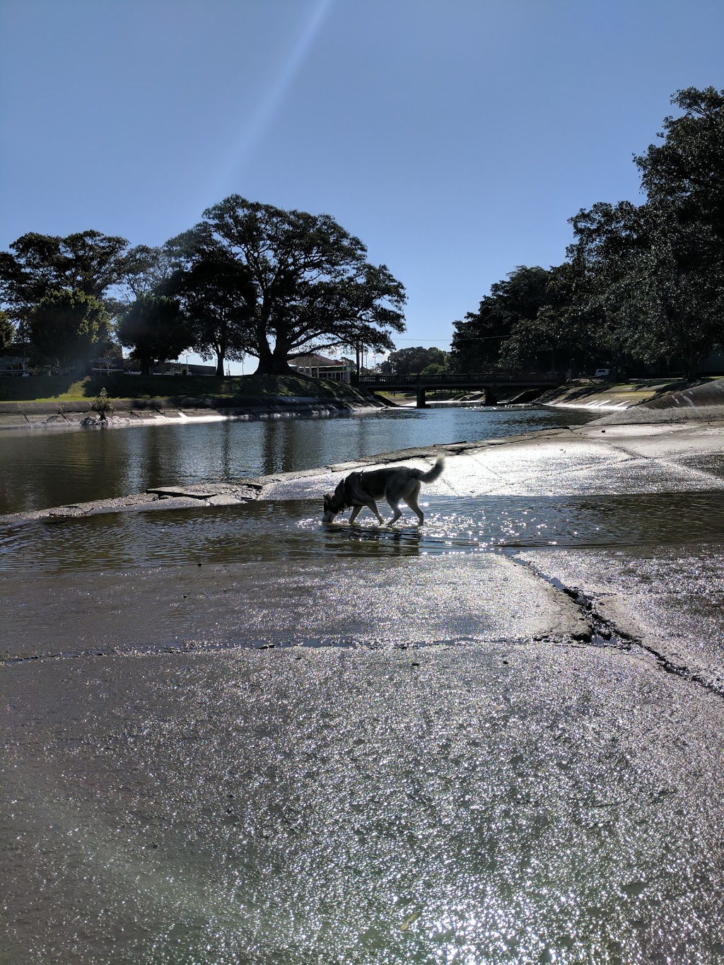 Islington Dog Off-Leash Area | park | 2 Park Rd, Tighes Hill NSW 2297, Australia
