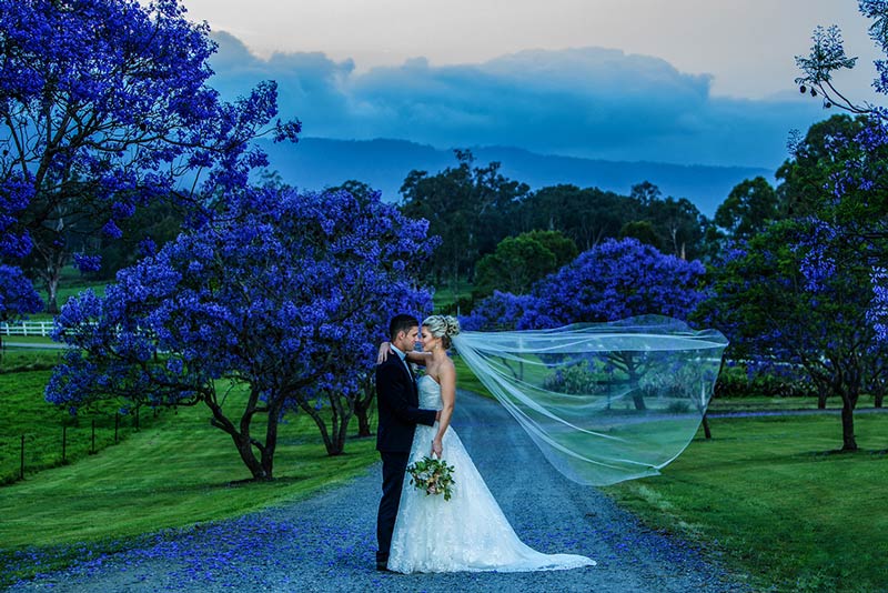 Tamborine Mountain Wedding Group | 6 Kailas Ct, Tamborine Mountain QLD 4272, Australia | Phone: 0438 764 233