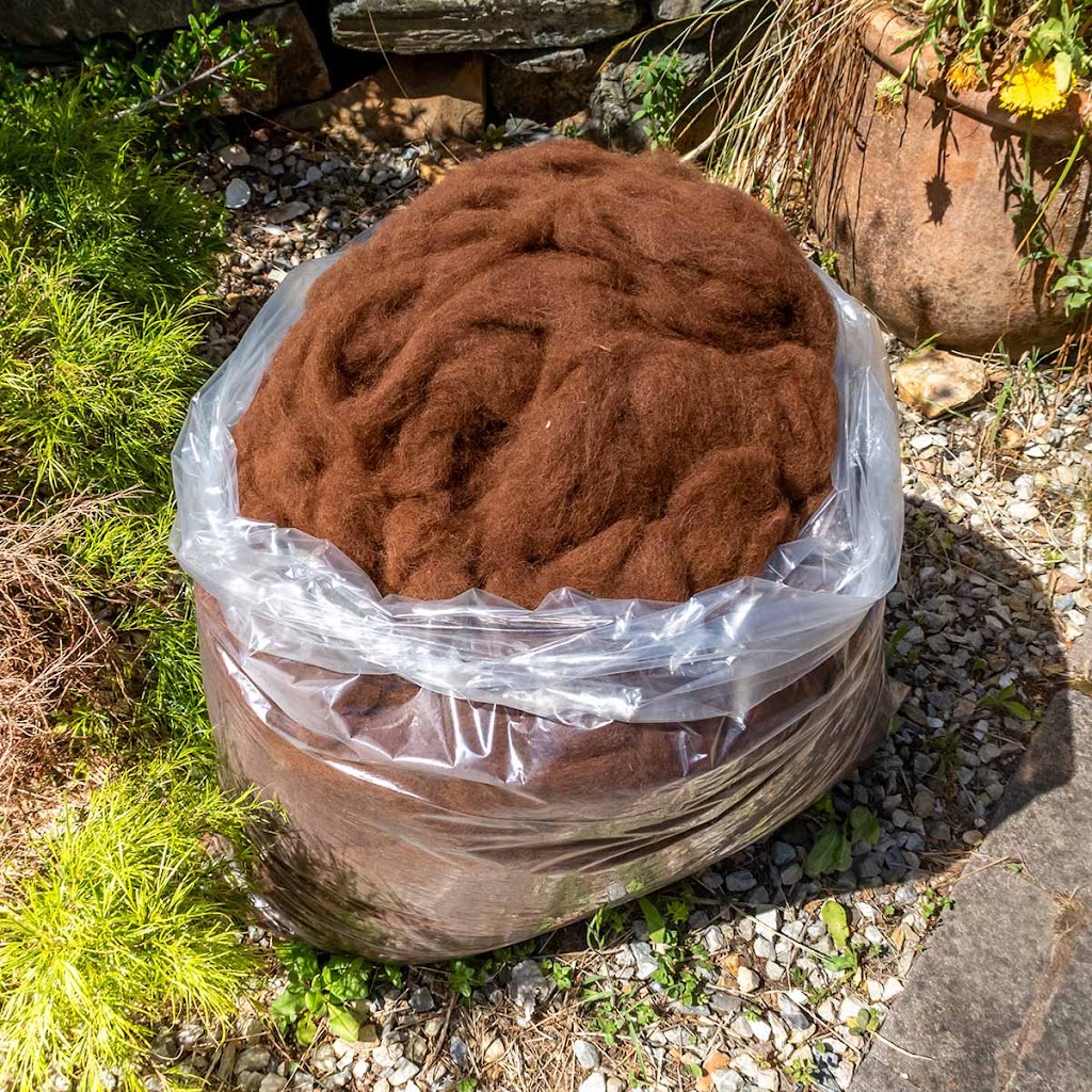 Tin Dragon Alpaca Fibre | 3 Coxs Ln, Branxholm TAS 7261, Australia | Phone: 0407 501 137