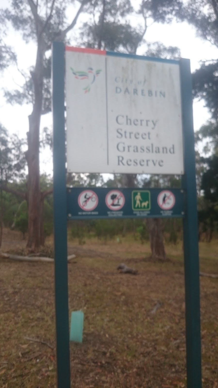 Cherry Street Grassland Reserve | park | 5 Cherry St, Macleod VIC 3085, Australia