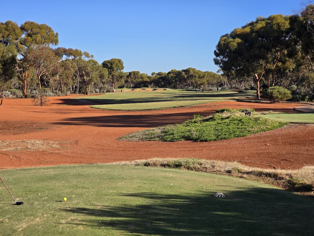 Goldfields Golf Club | 93 Aslett Dr, Karlkurla WA 6430, Australia | Phone: (08) 9021 1330