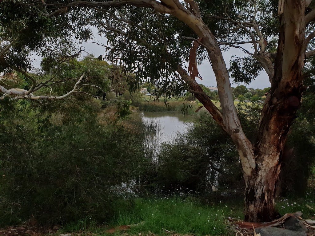 Encounter Wetlands | park | 108 Matthew Flinders Dr, Encounter Bay SA 5211, Australia