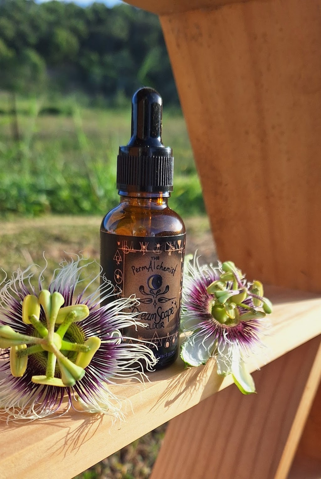 The PermAlchemist | Clayton Rd, Lammermoor QLD 4703, Australia | Phone: 0406 348 132