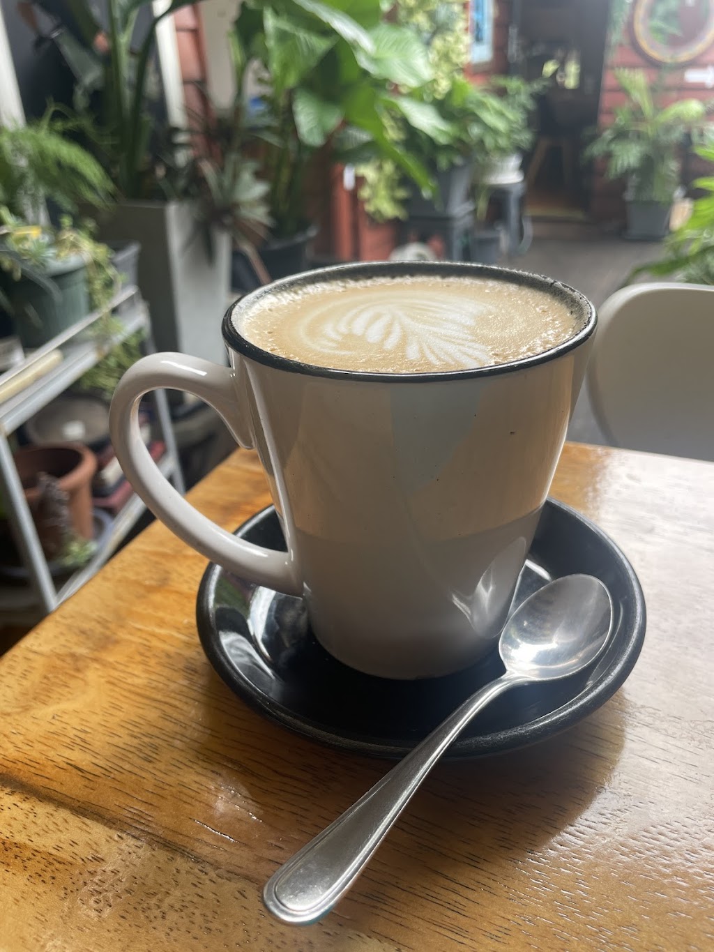 Espresso House Windsor | 58 Gilbert Rd, Lutwyche QLD 4051, Australia | Phone: (07) 3356 9956