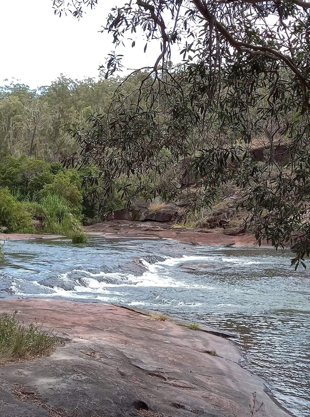 Barron River Tinaroo, Danbulla National Park and State Forest |  | Jase Track, Tinaroo QLD 4882, Australia | 137468 OR +61 137468