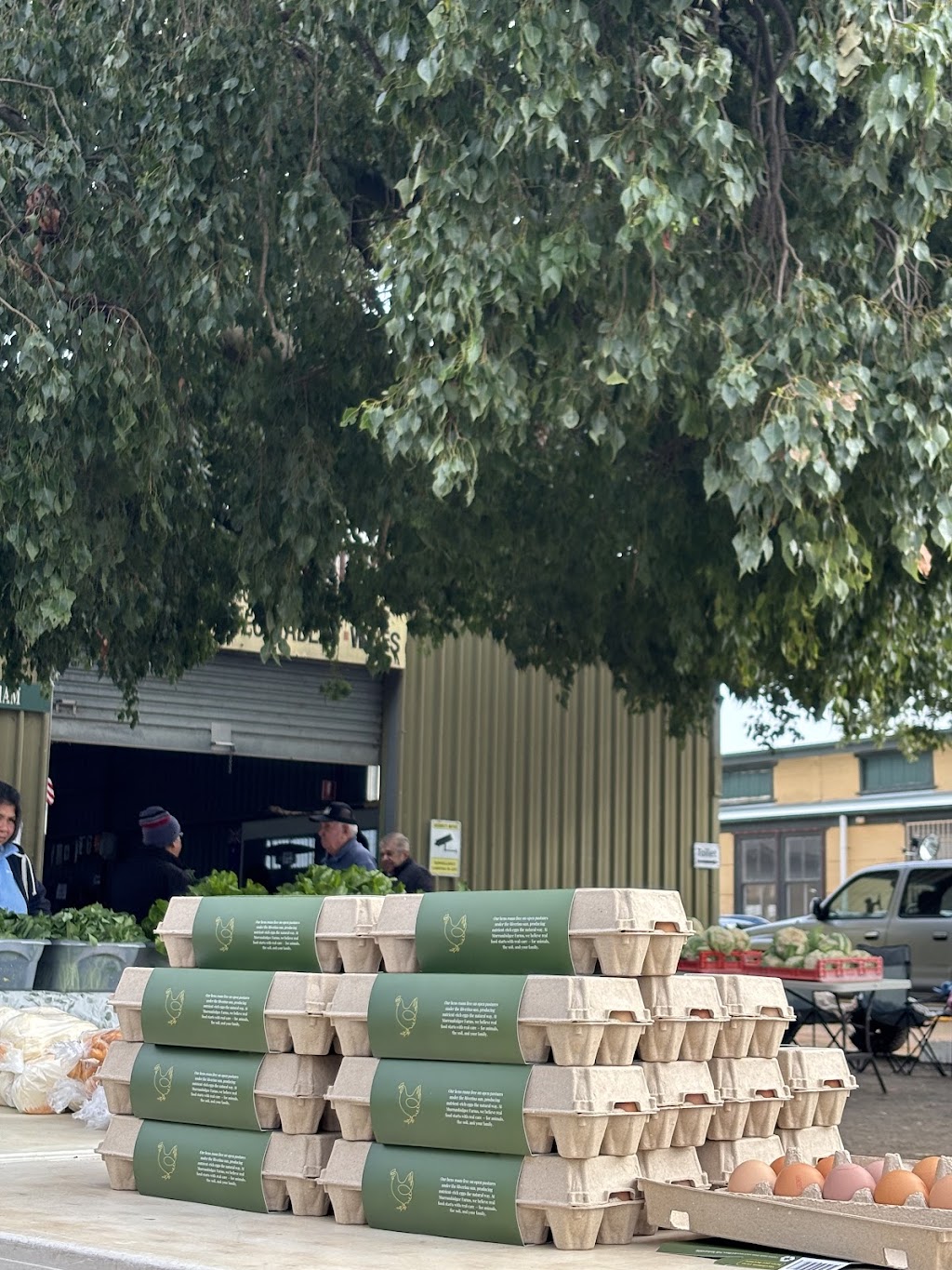 Murrumbidgee Farms | Judds Block, Carrathool NSW 2711, Australia | Phone: 0497 001 269