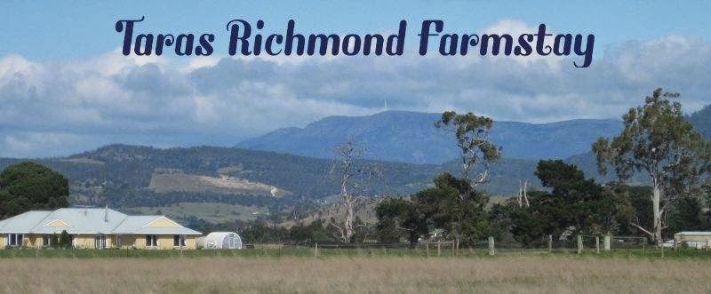 Taras Richmond Farmstay | 31 Ogilvie Ln, Richmond TAS 7025, Australia | Phone: 0431 966 065