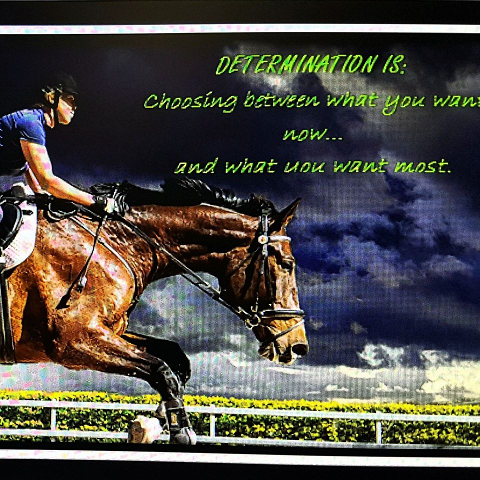Ingram Park Equestrian |  | 2650 Moggill Rd, Pinjarra Hills QLD 4069, Australia | 0427978142 OR +61 427 978 142
