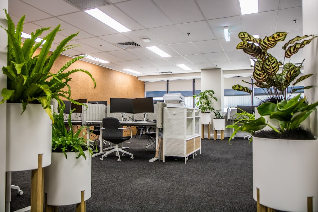 TLC Works and TLC Indoor Gardens | 603-613 Londonderry Rd, Londonderry NSW 2753, Australia | Phone: 1300 852 360
