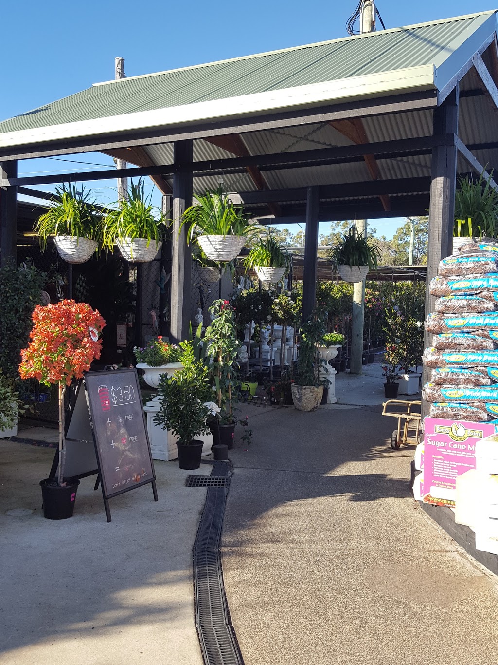 Ross Evans Garden Centre | store | 296-300 Oxley Dr, Runaway Bay QLD 4216, Australia | 0488010656 OR +61 488 010 656