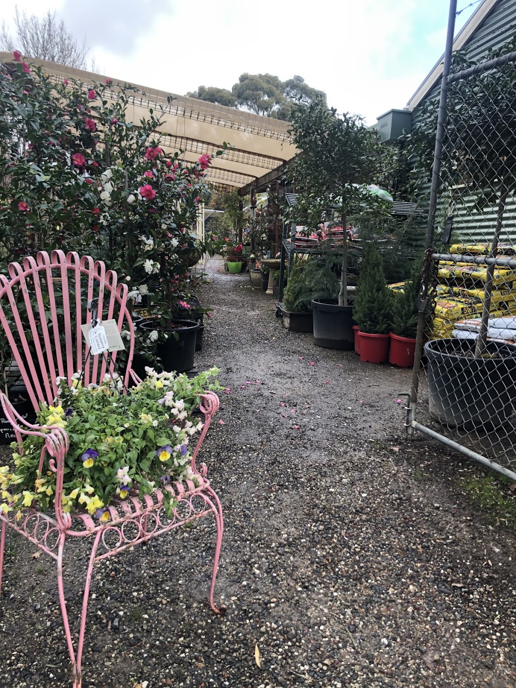 Woodend Nursery | 36 Urquhart St, Woodend VIC 3442, Australia | Phone: 0400 939 656