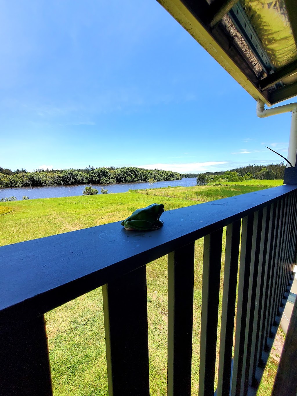 The Black Swan River Cottage | lodging | 332 Burtons Rd, Maroochy River QLD 4561, Australia | 0426773505 OR +61 426 773 505