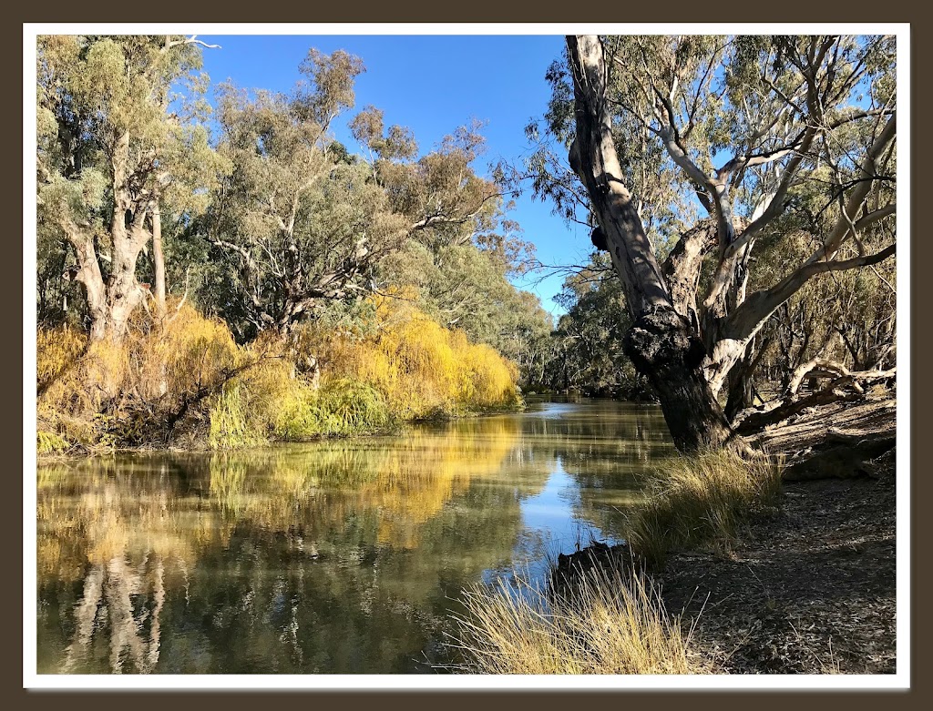 Noc-Tavean Outback Adventures | Boolaree, Lachlan Valley Way, Euabalong NSW 2877, Australia | Phone: 0472 544 828