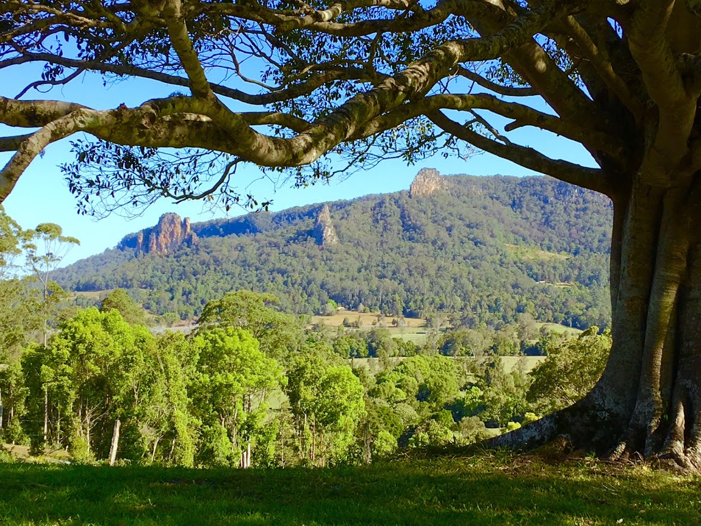 Scenic Picnics | 48 Hutchinson Rd, Nimbin NSW 2480, Australia | Phone: 0418 653 684