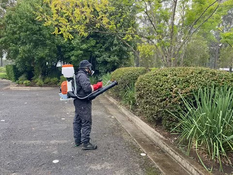 Valley Pest Management | Unit 8/369 Maitland Rd, Cessnock NSW 2325, Australia | Phone: 0407 779 957