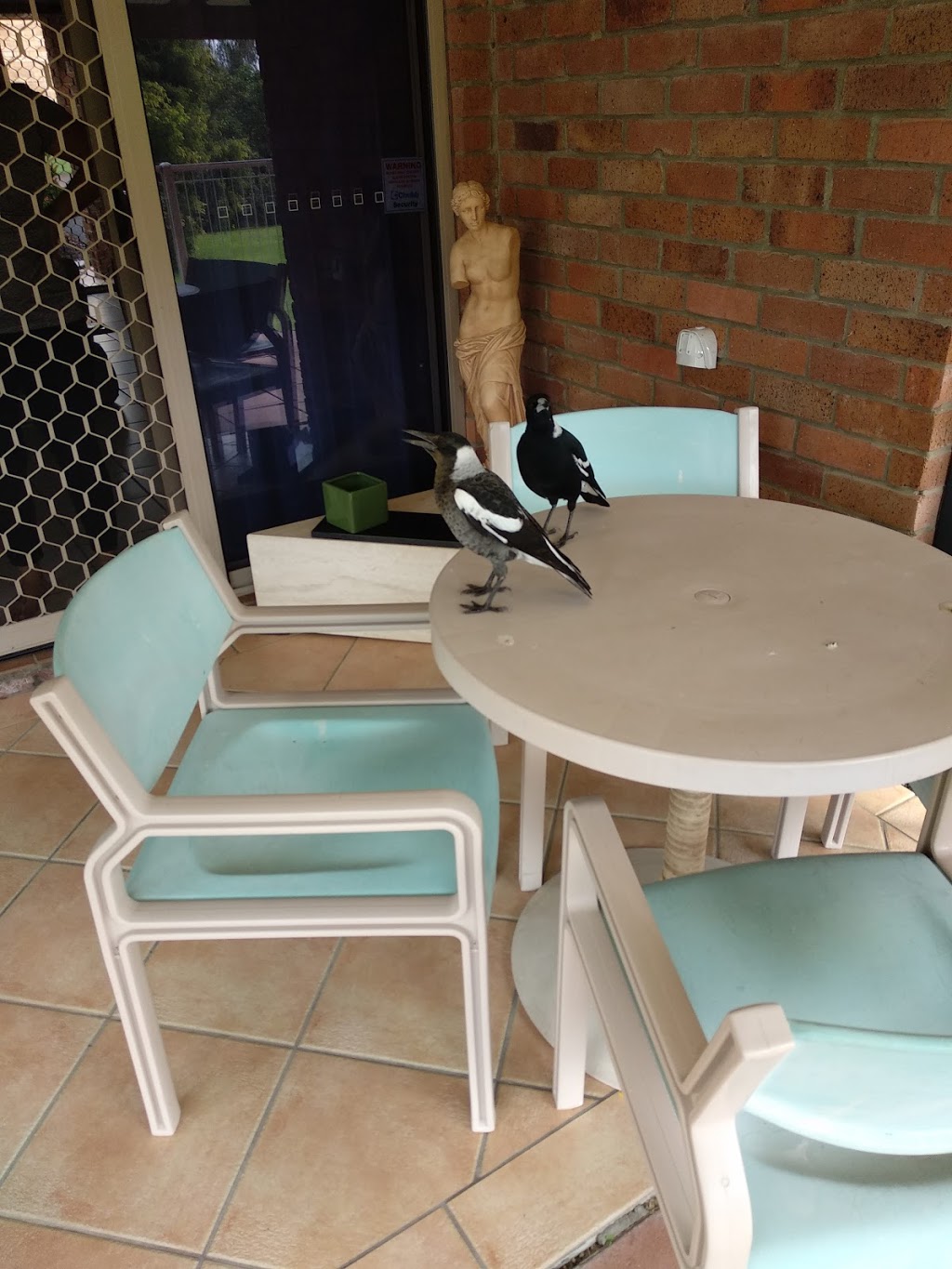 Summer Fields | 33-67 Edmund Rice Dr, Southport QLD 4215, Australia | Phone: (07) 5597 3294