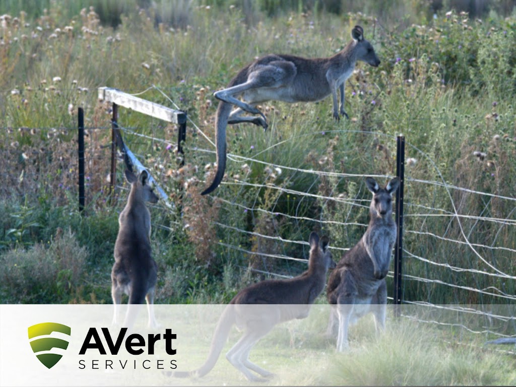 AVert Services | 267 Adelaide Gully Rd, Kersbrook SA 5231, Australia | Phone: (08) 8344 8327