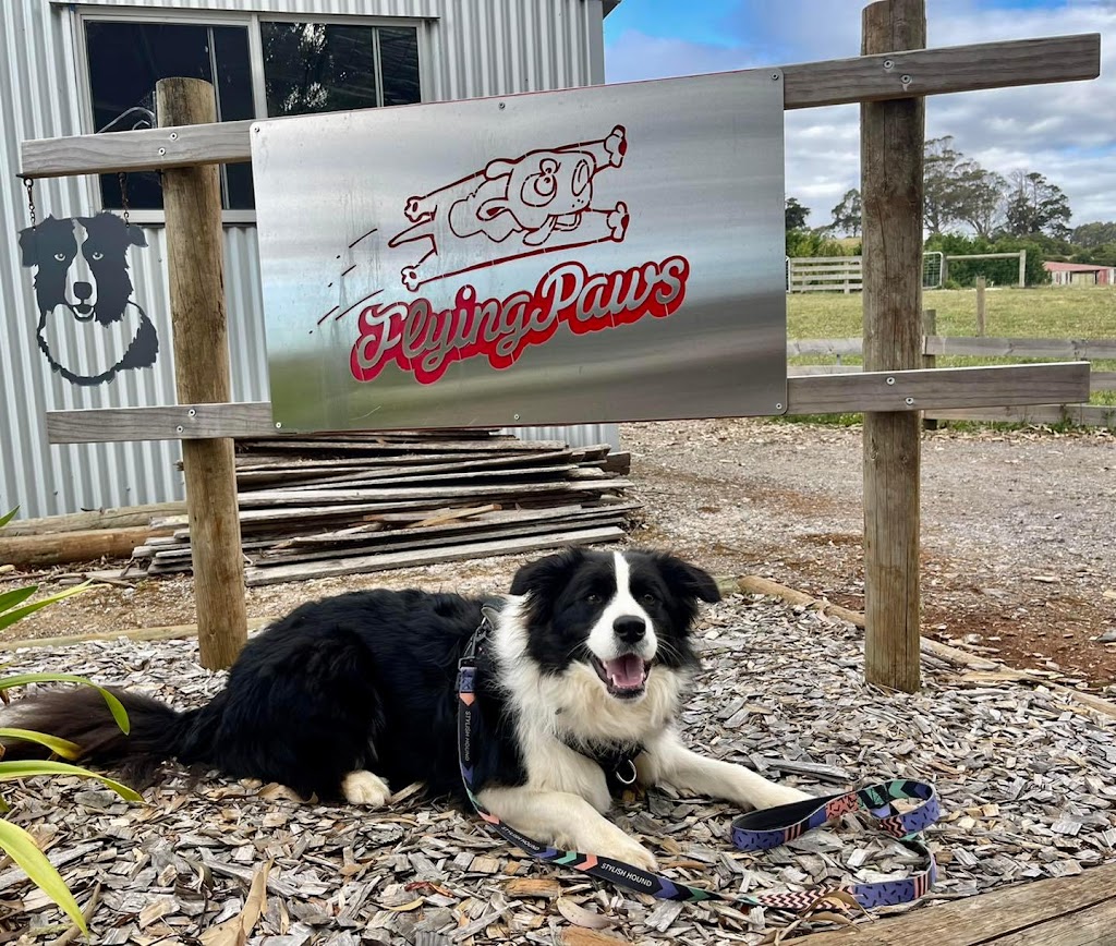 Flying Paws Dog Training | Gawler Rd, Ulverstone TAS 7315, Australia | Phone: 0429 372 414