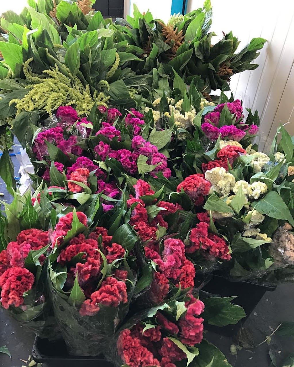 Just Flowers | 1/54 Browns Rd, Kingston TAS 7050, Australia | Phone: (03) 6227 2404
