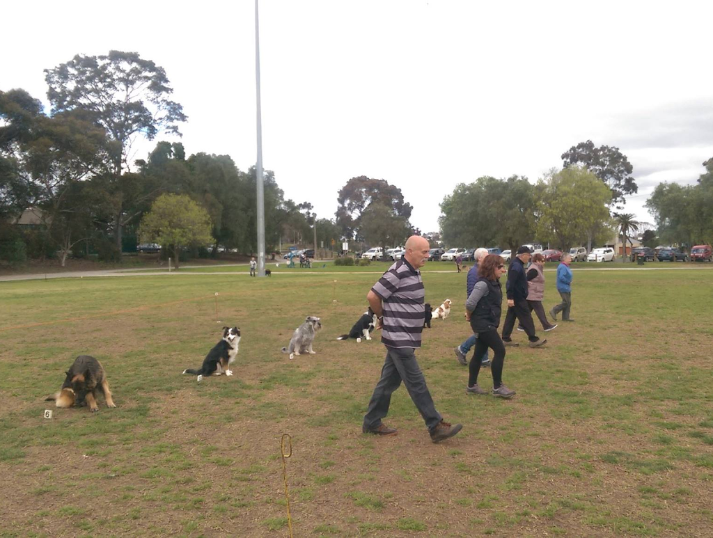 Northern Obedience Dog Club | 10 Rutherford St, Aberfeldie VIC 3039, Australia | Phone: (03) 9375 1410