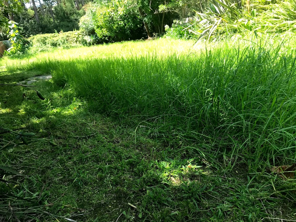 Narooma Mowing | 20 Bay St, Narooma NSW 2546, Australia | Phone: 0410 079 059