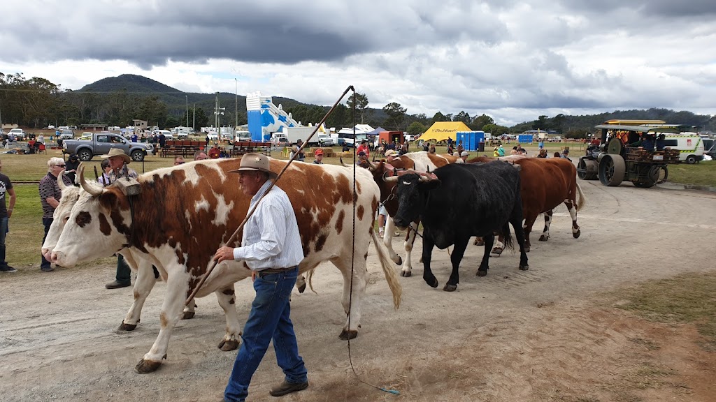 SteamFest Tasmania | Steam and Heritage Centre, Spring St, Sheffield TAS 7306, Australia | Phone: 0448 631 922