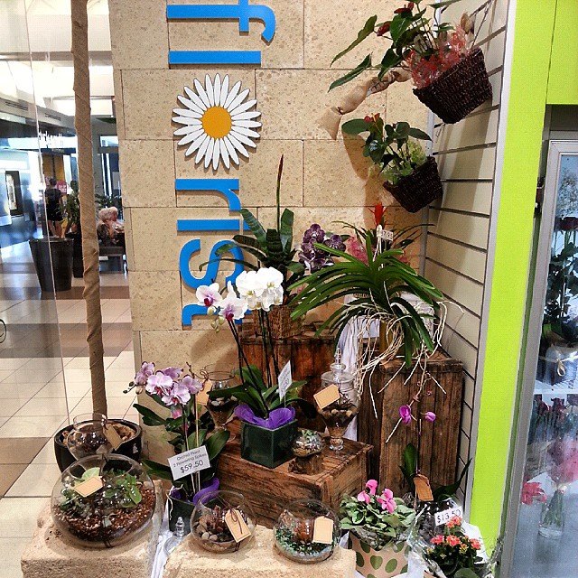 Hanging Basket Florist | 10 Ameer St, Rockingham WA 6168, Australia | Phone: (08) 9527 5562