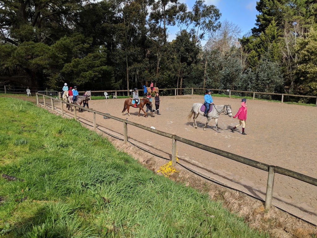 koolyangarra equestrian | Carey Gully SA 5144, Australia