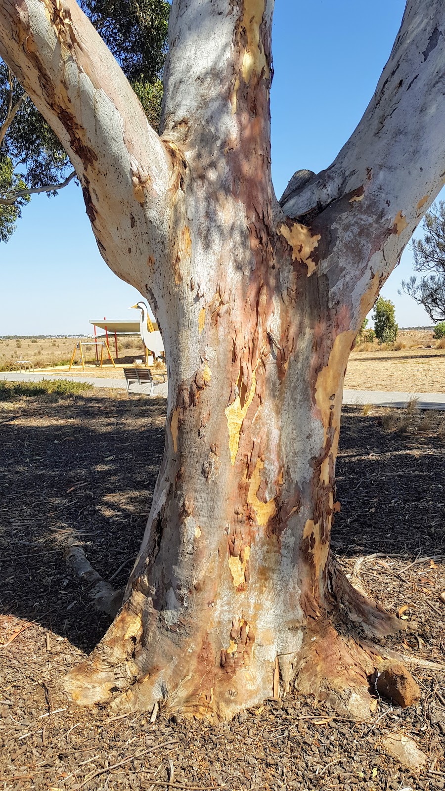 Botanica Estate Play Area | park | 26 Bregman Esplanade, Wyndham Vale VIC 3024, Australia | 1300334524 OR +61 1300 334 524