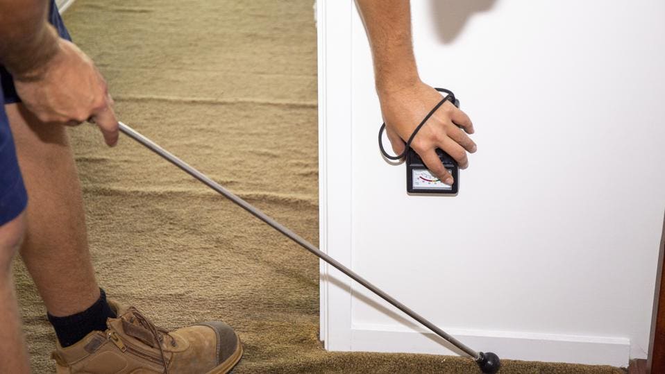 Asset Guard Pest Control | 5 Aletta St, Shailer Park QLD 4128, Australia | Phone: 0481 090 563