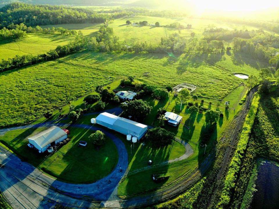 Murray View Brangus | 147 Paul Burger Rd, Mount Ossa QLD 4741, Australia | Phone: 0427 072 675