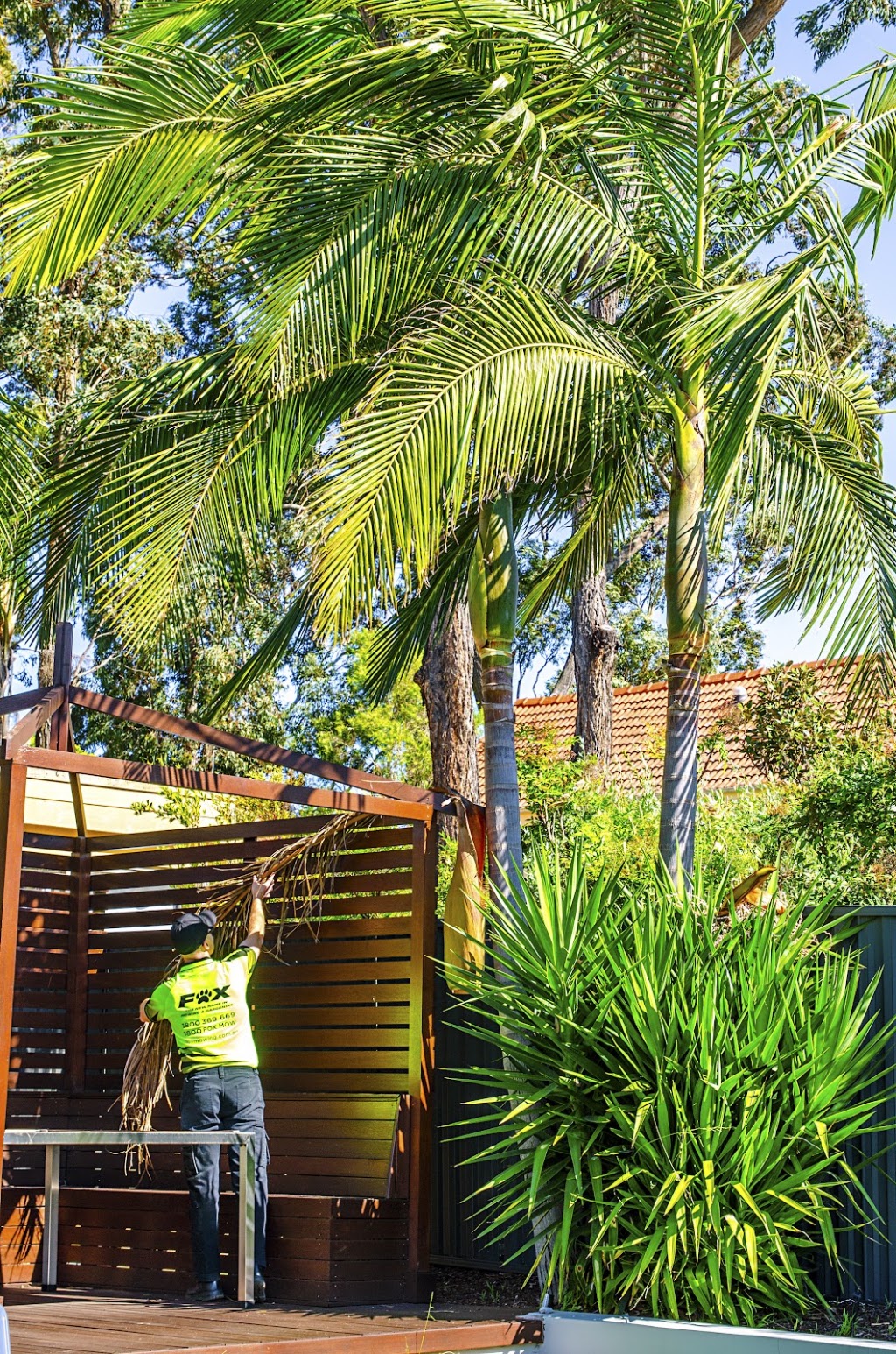 Fox Mowing & Gardening Eimeo | Lawn Mowing & Gardening Services | 13 Shepherd Rd, Eimeo QLD 4740, Australia | Phone: (07) 4848 2777