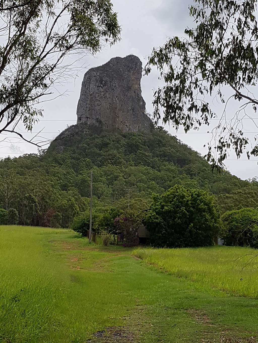 CrookNeck Retreat | lodging | 2194 Old Gympie Rd, Glass House Mountains QLD 4518, Australia | 0447711230 OR +61 447 711 230