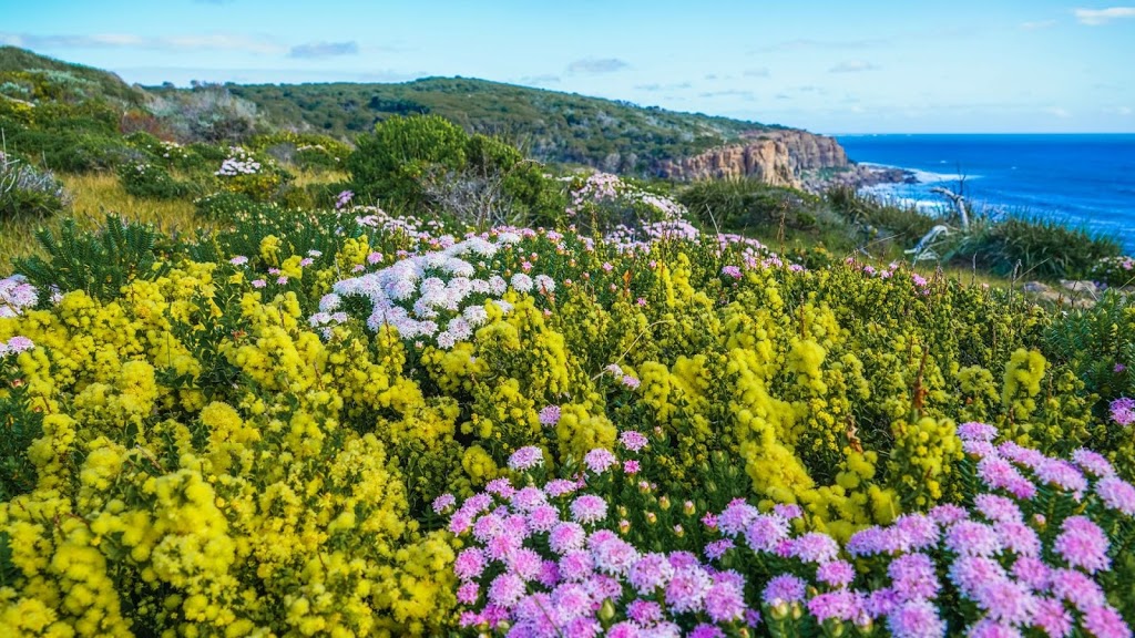 by the sea MARGARET RIVER | lodging | 21 Riedle Dr, Gnarabup WA 6285, Australia | 0418345212 OR +61 418 345 212