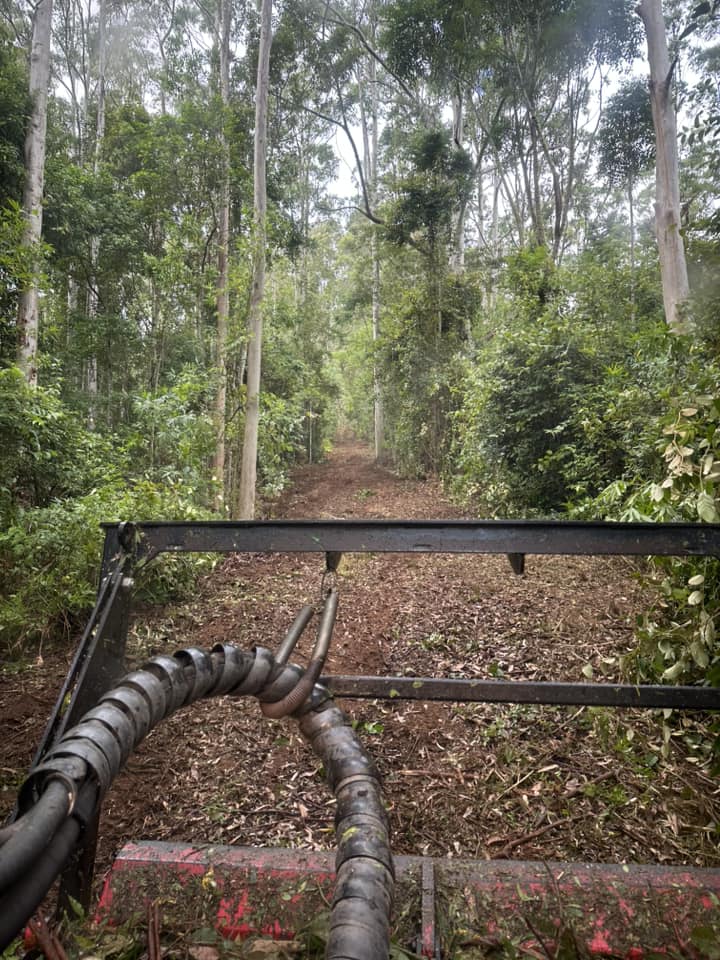 Ace Clearing & Mulching | 146 Heron Rd, Old Bar NSW 2430, Australia | Phone: 0416 090 654