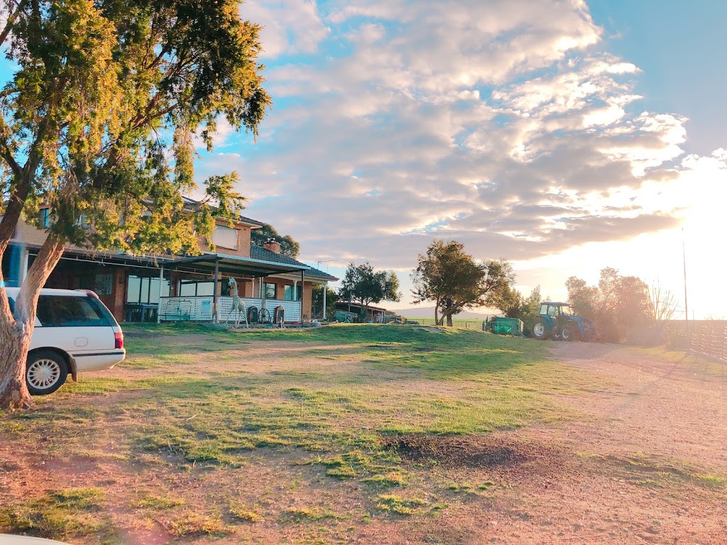 Rustique Lavender Farm | 7985 Tumbarumba Rd, Book Book NSW 2650, Australia | Phone: (02) 6928 1117