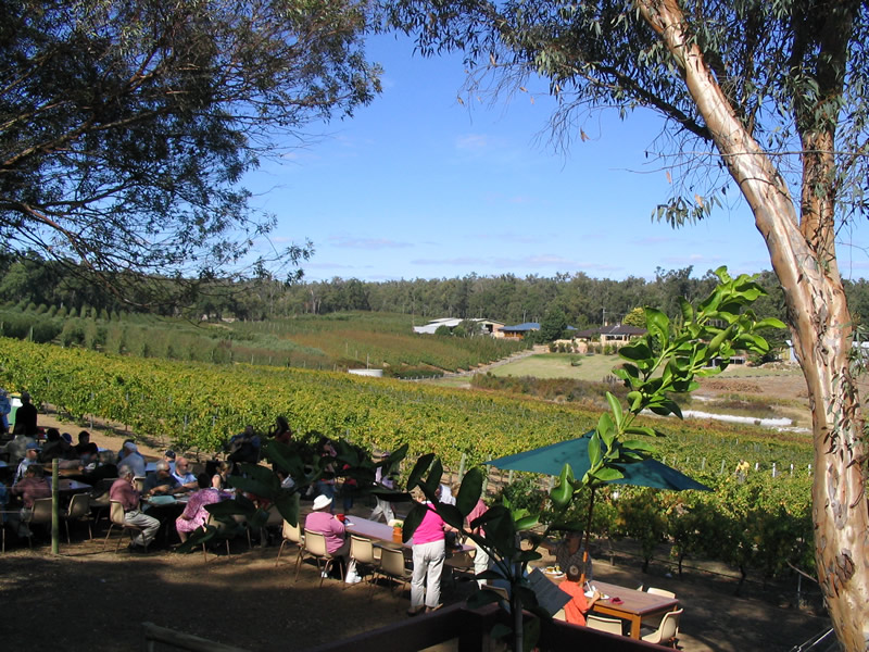 Hainault Vineyard and Cellar Door | 255 Walnut Rd, Bickley WA 6076, Australia | Phone: (08) 9293 7682