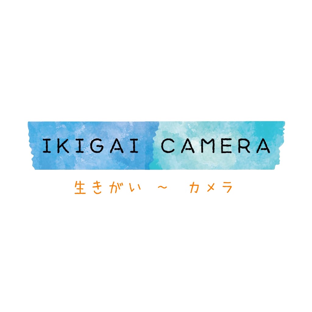 Ikigai Camera | electronics store | 62 Albemarle St, Williamstown North VIC 3016, Australia