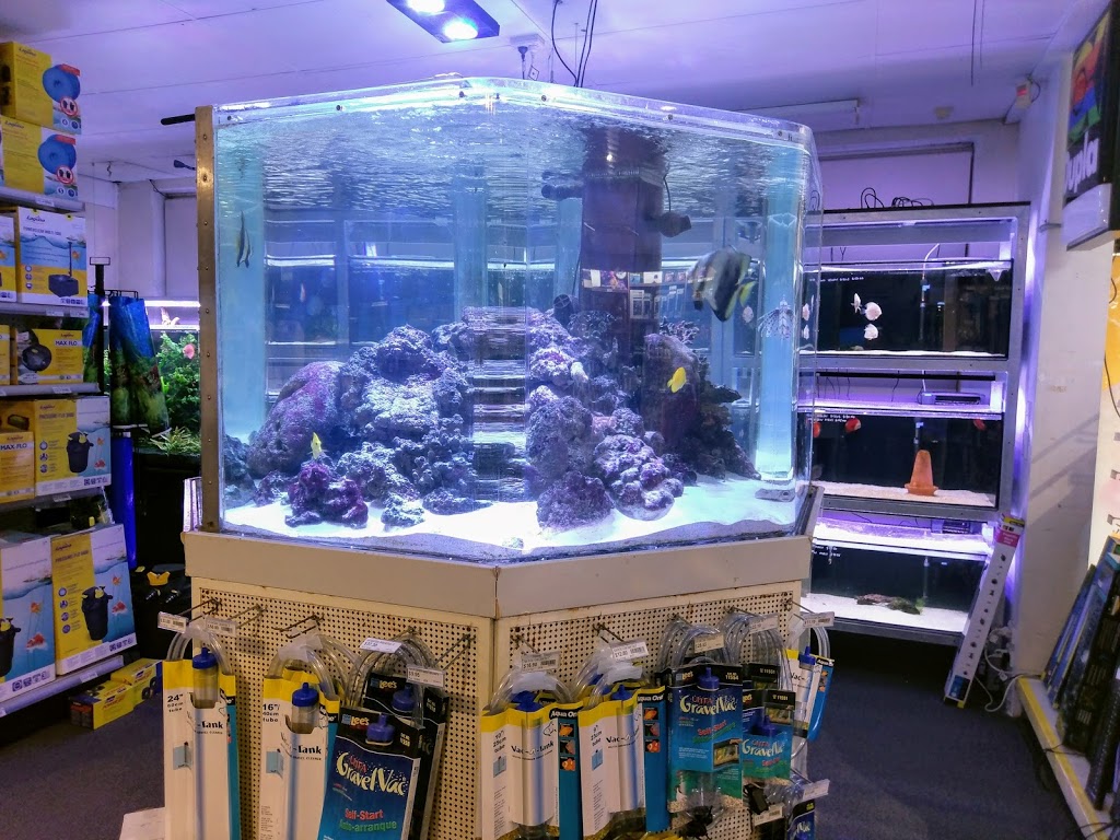 Seaview Aquarium Centre | pet store | 237 Anzac Hwy, Plympton SA 5038, Australia | 0883710380 OR +61 8 8371 0380