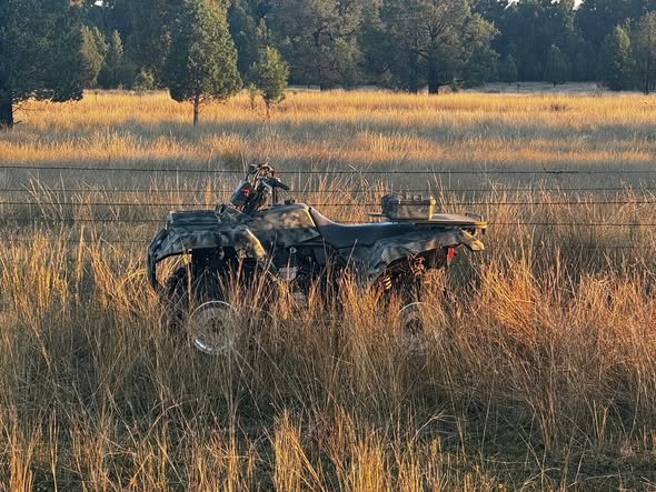 Davrac Rural Pest Services | Curries Rd, Dubbo NSW 2830, Australia | Phone: 0414 603 151
